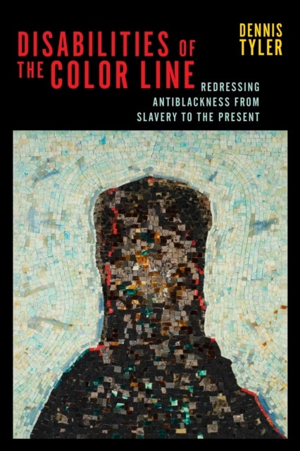 Disabilities of the Color Line - Redressing Antiblackness from Slavery to the Present