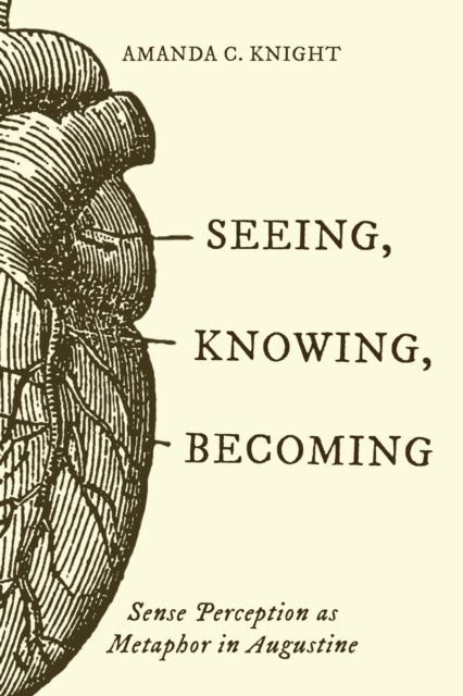 Seeing, Knowing, Becoming - Sense Perception As Metaphor in Augustine