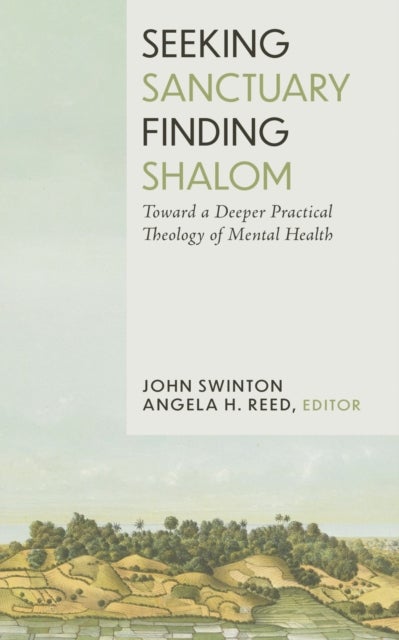 Seeking Sanctuary, Finding Shalom - Toward a Deeper Practical Theology of Mental Health