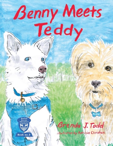 Benny Meets Teddy - BenTed Rescue Adventure Series Book II