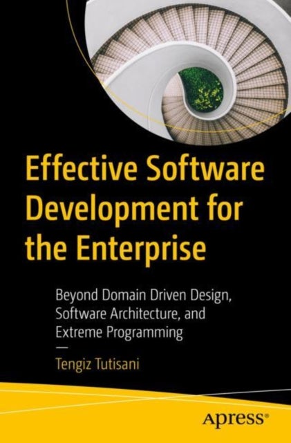 Effective Software Development for the Enterprise - Beyond Domain Driven Design, Software Architecture, and Extreme Programming