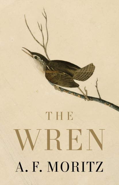 The Wren