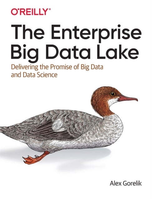 The Enterprise Big Data Lake - Delivering the Promise of Big Data and Data Science