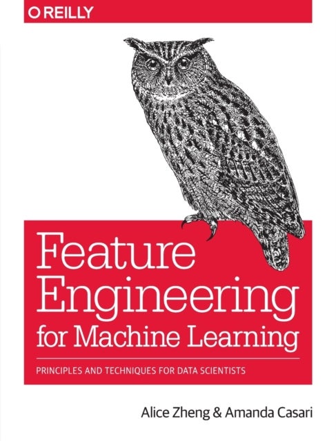 Feature Engineering for Machine Learning - Principles and Techniques for Data Scientists