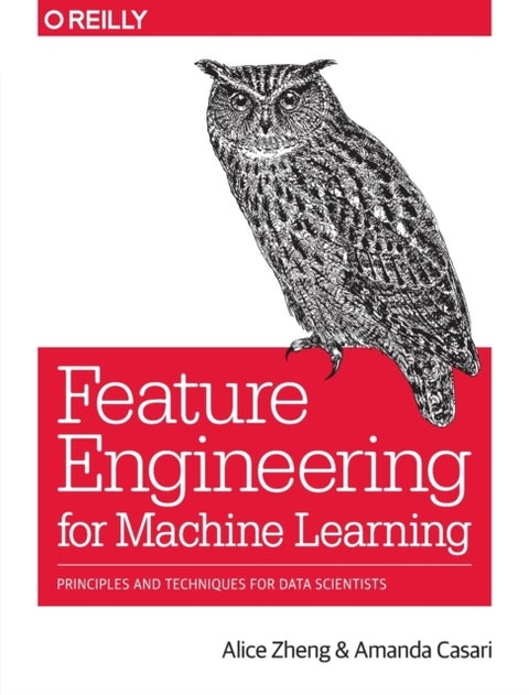 Feature Engineering for Machine Learning - Principles and Techniques for Data Scientists