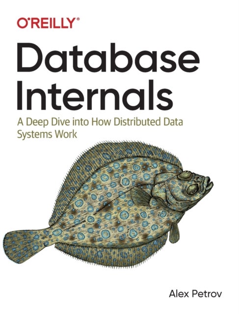 Database Internals - A Deep-Dive Into How Distributed Data Systems Work