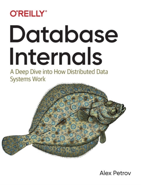 Database Internals - A Deep-Dive Into How Distributed Data Systems Work
