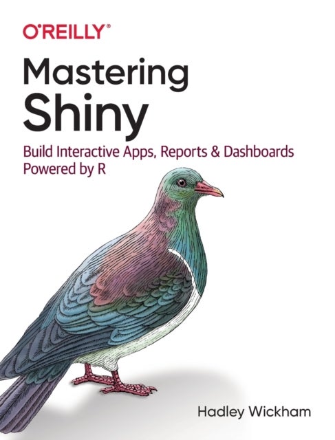 Mastering Shiny - Build Interactive Apps, Reports, and Dashboards Powered by R
