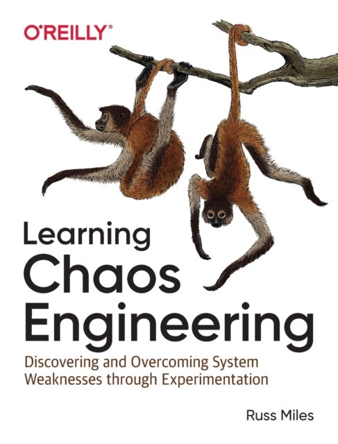 Learning Chaos Engineering - Discovering and Overcoming System Weaknesses through Experimentation