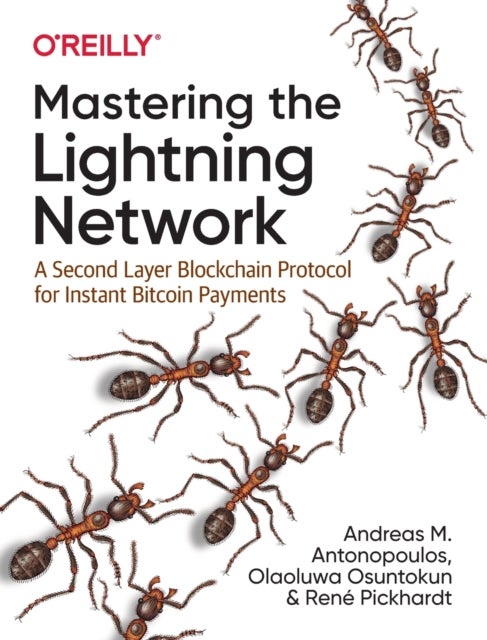 Mastering the Lightning Network - A Second Layer Blockchain Protocol for Instant Bitcoin Payments