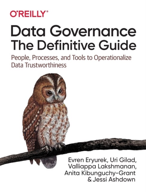 Data Governance: The Definitive Guide - People, Processes, and Tools to Operationalize Data Trustworthiness