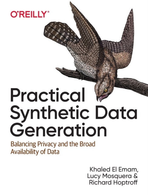 Practical Synthetic Data Generation - Balancing Privacy and the Broad Availability of Data