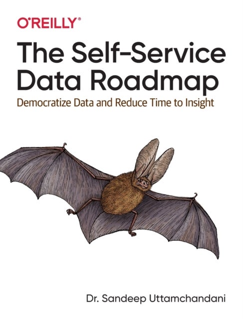 The Self-Service Data Roadmap - Democratize Data and Reduce Time to Insight