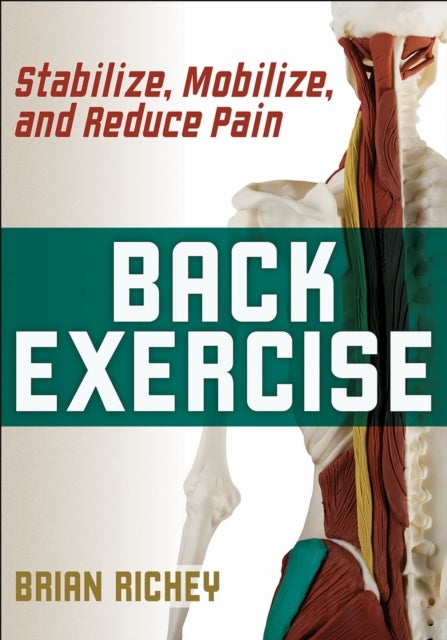 Back Exercise - Stabilize, Mobilize, and Reduce Pain