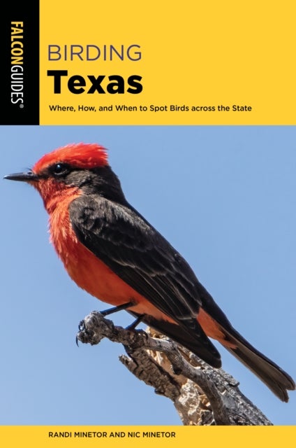Birding Texas - Where, How, and When to Spot Birds across the State