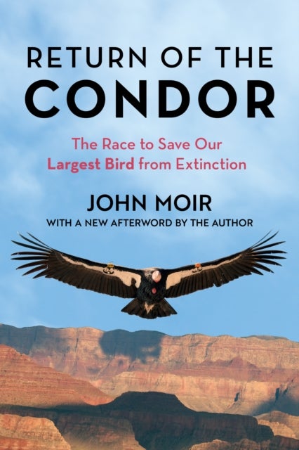 Return of the Condor - The Race to Save Our Largest Bird from Extinction