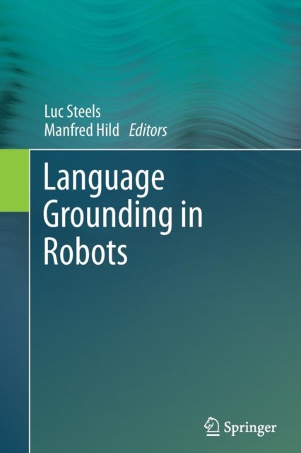 Language Grounding in Robots