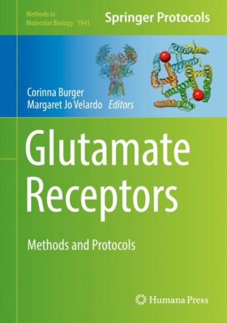 Glutamate Receptors - Methods and Protocols