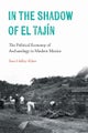 In the Shadow of El Tajin