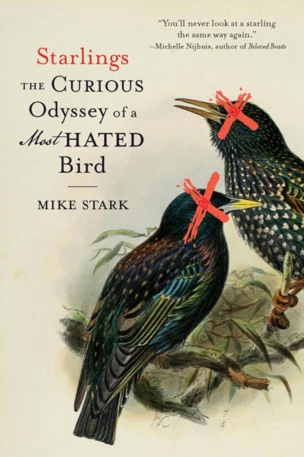 Starlings - The Curious Odyssey of a Most Hated Bird