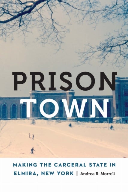 Prison Town - Making the Carceral State in Elmira, New York