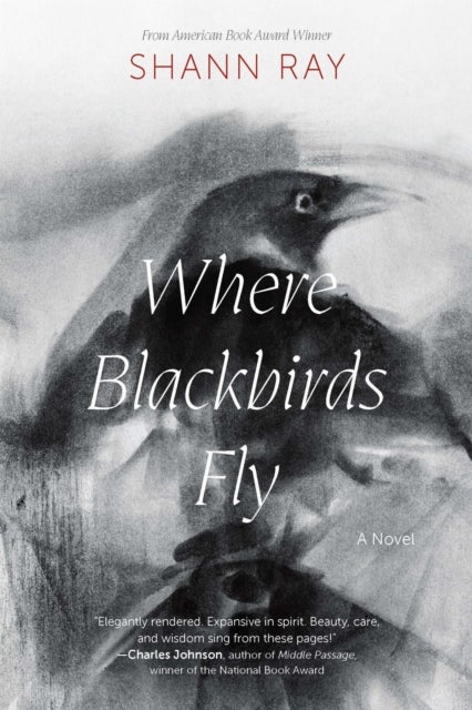 Where Blackbirds Fly - A Novel