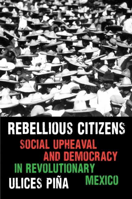 Rebellious Citizens - Social Upheaval and Democracy in Revolutionary Mexico