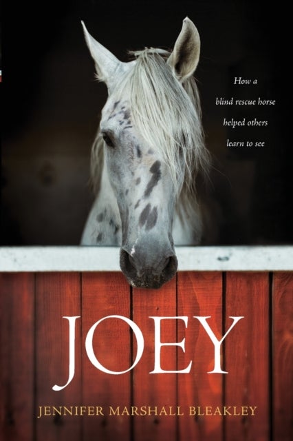 Joey - How a Blind Rescue Horse Helped Others Learn to See