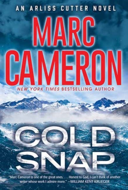 Cold Snap - An Action Packed Novel of Suspense