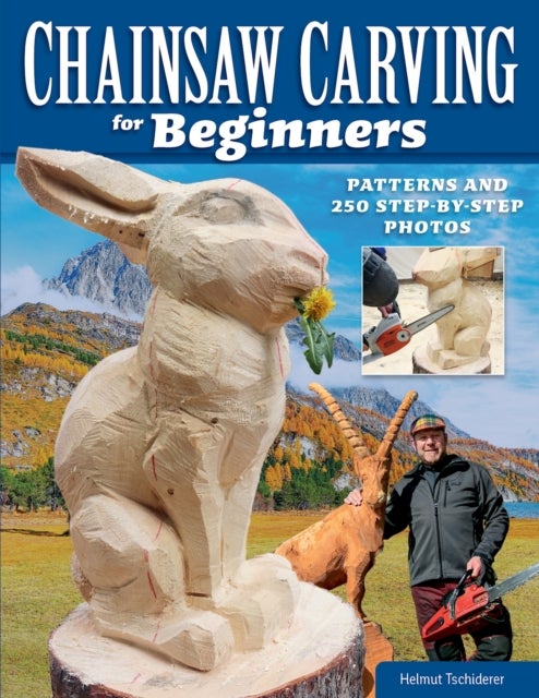 Chainsaw Carving for Beginners - Chainsaw Carving for Beginners