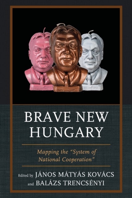 Brave New Hungary - Mapping the "System of National Cooperation"