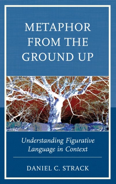 Metaphor from the Ground Up - Understanding Figurative Language in Context
