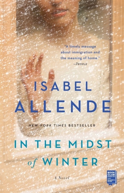 In the Midst of Winter - A Novel