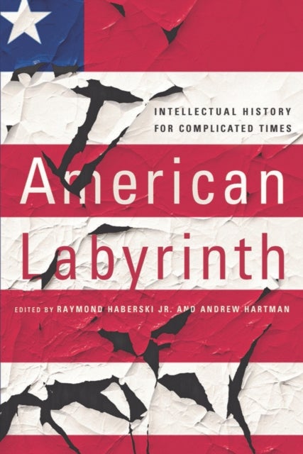 American Labyrinth - Intellectual History for Complicated Times