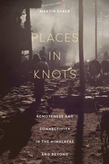Places in Knots - Remoteness and Connectivity in the Himalayas and Beyond