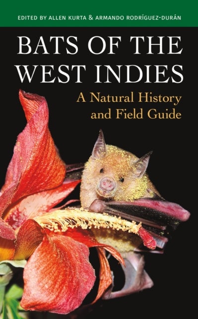 Bats of the West Indies - A Natural History and Field Guide