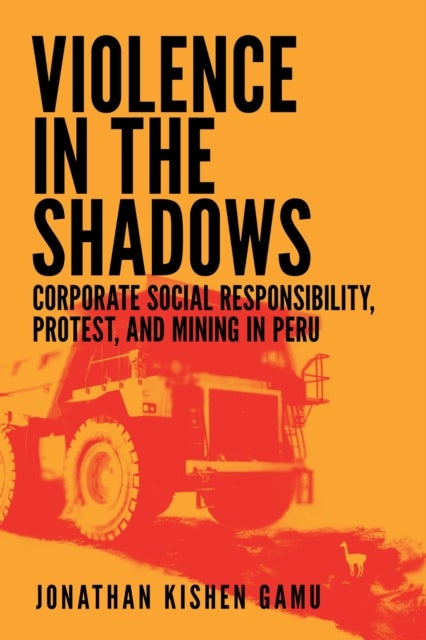 Violence in the Shadows - Corporate Social Responsibility, Protest, and Mining in Peru