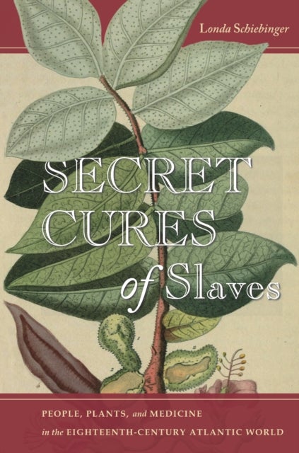 Secret Cures of Slaves - People, Plants, and Medicine in the Eighteenth-Century Atlantic World