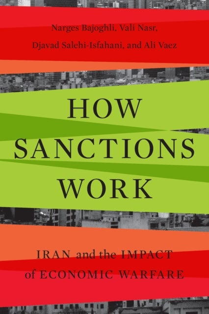 How Sanctions Work - Iran and the Impact of Economic Warfare