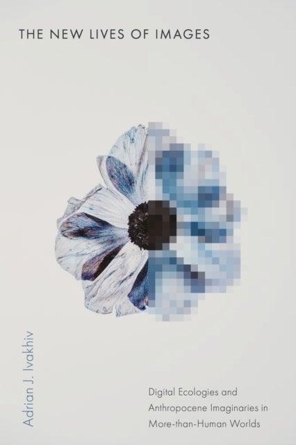 The New Lives of Images - Digital Ecologies and Anthropocene Imaginaries in More-than-Human Worlds