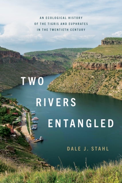 Two Rivers Entangled - An Ecological History of the Tigris and Euphrates in the Twentieth Century