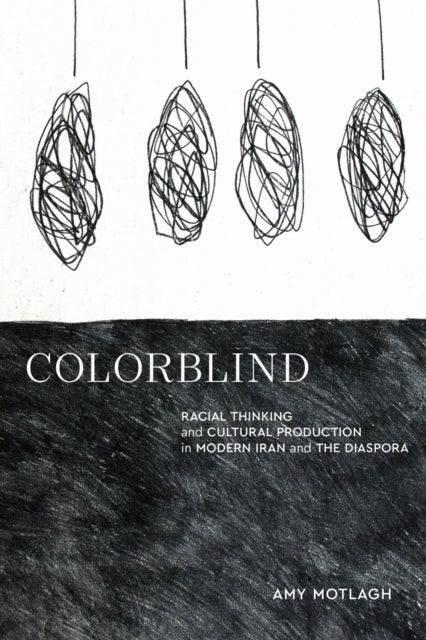 Colorblind - Racial Thinking and Cultural Production in Modern Iran and the Diaspora