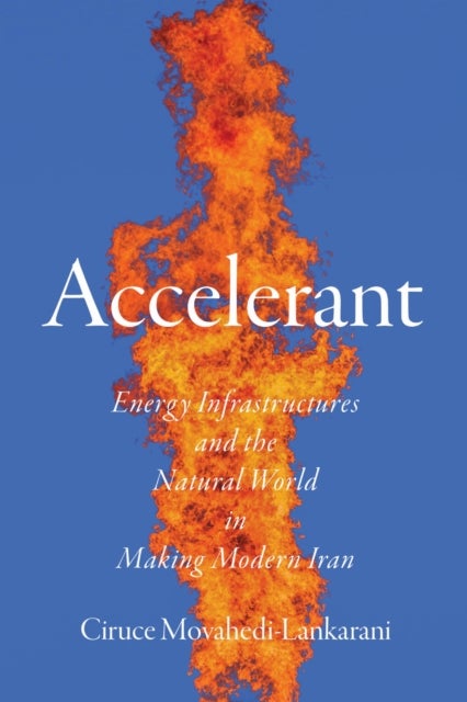 Accelerant - Energy Infrastructures and the Natural World in Making Modern Iran