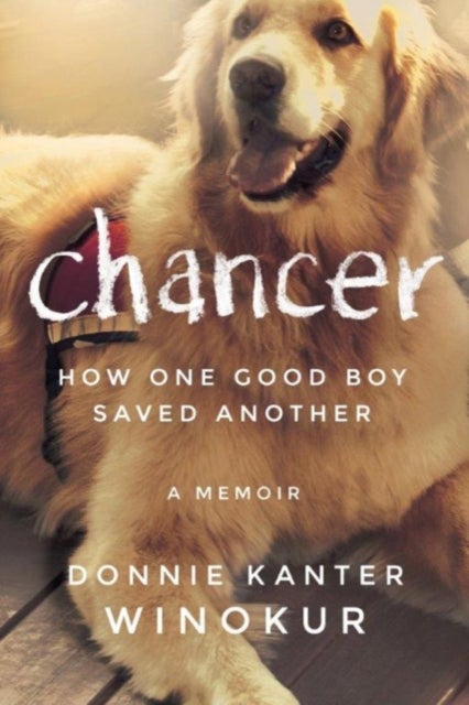 Chancer - How One Good Boy Saved Another