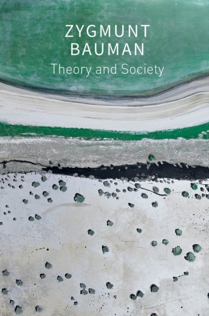 Theory and Society - Selected Writings, Volume 3
