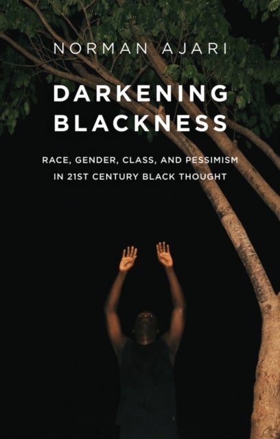 Darkening Blackness - Race, Gender, Class, and Pessimism in 21st-Century Black Thought