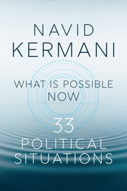 What is Possible Now - 33 Political Situations