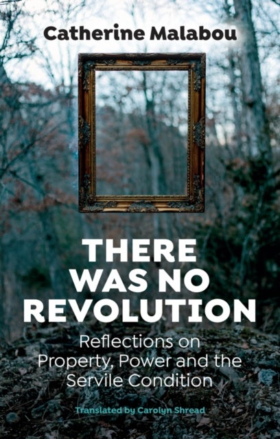 There Was No Revolution - Reflections on Property, Power and the Servile Condition
