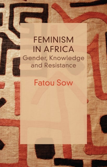 Feminism in Africa - Gender, Knowledge and Resistance
