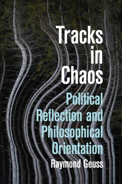 Tracks in Chaos - Philosophical Orientation and Political Reflection